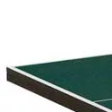 Butterfly Playback Rollaway green Table Tennis Table